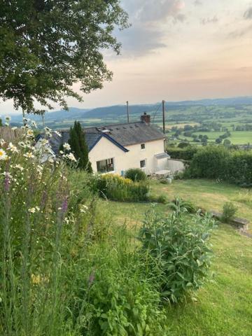 Trinity Cottage Welshpool Kültér fotó