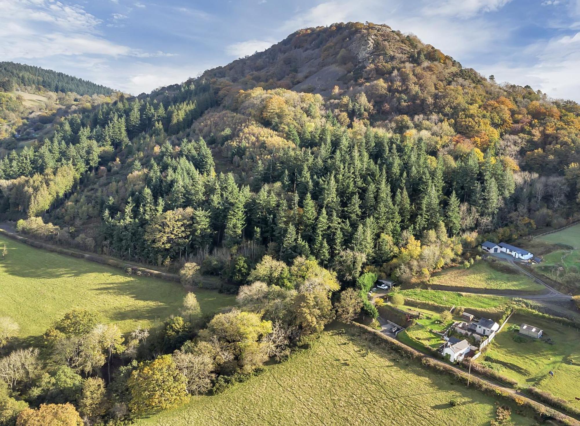 Trinity Cottage Welshpool Kültér fotó